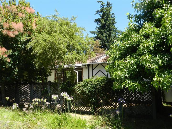 Smokebush Cottage - Holiday Home Exclusively Yoursトゥランギ エクステリア 写真
